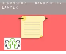 Herrnsdorf  bankruptcy lawyer
