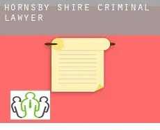Hornsby Shire  criminal lawyer