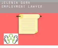 Jelenia Góra  employment lawyer