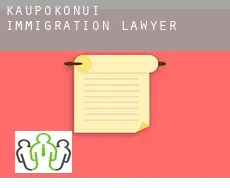 Kaupokonui immigration lawyer