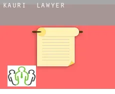 Kauri  lawyer