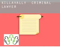 Killavally criminal lawyer