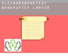 Kleingrabenstedt bankruptcy lawyer