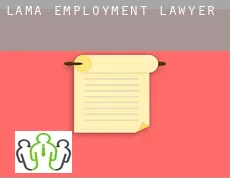 Lama  employment lawyer