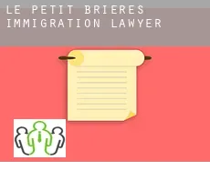 Le Petit Brières immigration lawyer