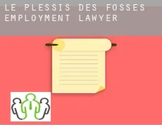 Le Plessis des Fosses  employment lawyer