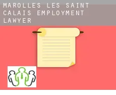 Marolles-lès-Saint-Calais  employment lawyer