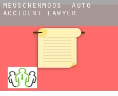 Meuschenmoos  auto accident lawyer