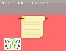 Mittelhof  lawyer