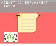 Monast (census area)  employment lawyer