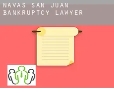 Navas de San Juan  bankruptcy lawyer