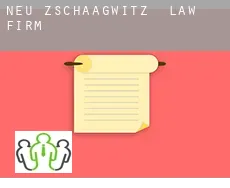Neu Zschaagwitz  law firm