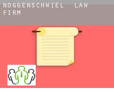 Nöggenschwiel  law firm