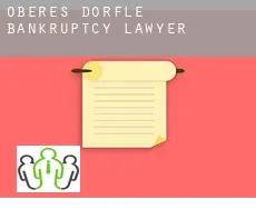 Oberes Dörfle  bankruptcy lawyer
