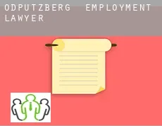 Ödputzberg  employment lawyer