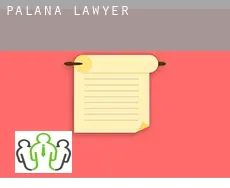Palana lawyer