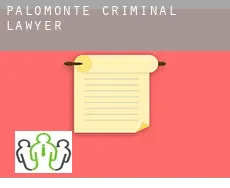 Palomonte  criminal lawyer