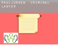 Pauljürgen  criminal lawyer