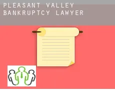 Pleasant Valley  bankruptcy lawyer