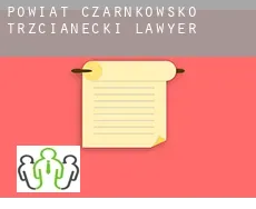 Powiat czarnkowsko-trzcianecki  lawyer