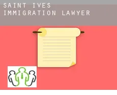 Saint Ives  immigration lawyer