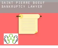 Saint-Pierre-de-Bœuf  bankruptcy lawyer