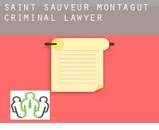 Saint-Sauveur-de-Montagut criminal lawyer