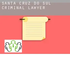 Santa Cruz do Sul  criminal lawyer