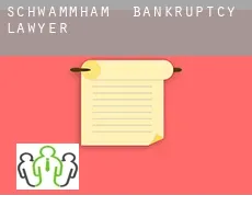 Schwammham  bankruptcy lawyer