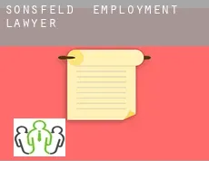 Sonsfeld  employment lawyer