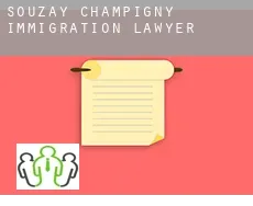 Souzay-Champigny  immigration lawyer