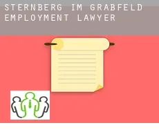 Sternberg im Grabfeld employment lawyer