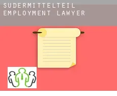 Südermittelteil  employment lawyer