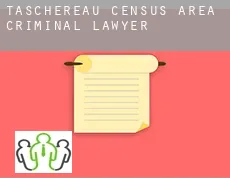 Taschereau (census area)  criminal lawyer