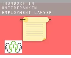 Thundorf in Unterfranken  employment lawyer