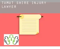 Tumut Shire  injury lawyer