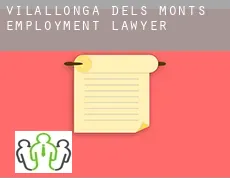 Vilallonga dels Monts  employment lawyer