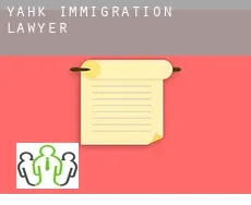 Yahk  immigration lawyer