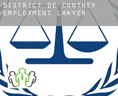 District de Conthey  employment lawyer