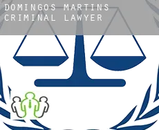 Domingos Martins  criminal lawyer