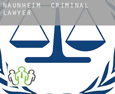 Naunheim  criminal lawyer