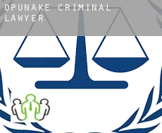 Opunake  criminal lawyer