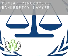 Powiat pińczowski  bankruptcy lawyer