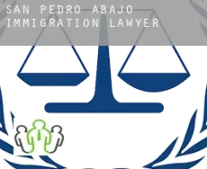 San Pedro de Abajo  immigration lawyer