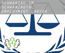 Schwarzau im Schwarzautal  employment lawyer
