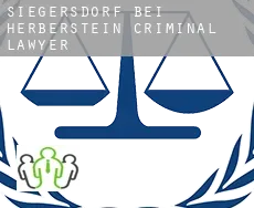 Siegersdorf bei Herberstein  criminal lawyer