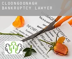 Cloongoonagh  bankruptcy lawyer