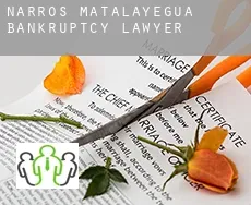 Narros de Matalayegua  bankruptcy lawyer
