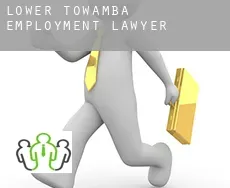 Lower Towamba  employment lawyer