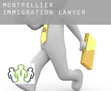 Montpellier  immigration lawyer